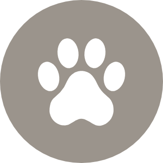 PLAY FETCH WITH FIDO AT THE COVERED DOG PARK